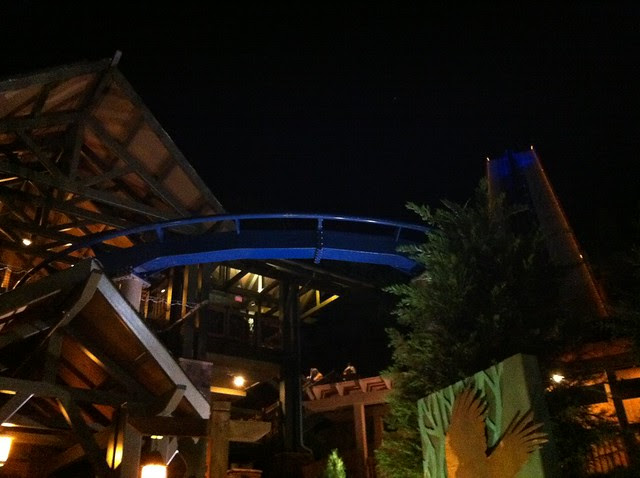 Wild Eagle Night 2