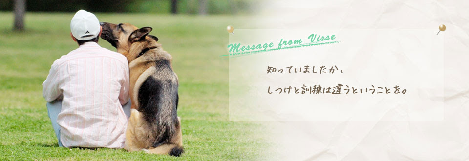 横浜市の犬のしつけレッスン ドッグスクールvisse