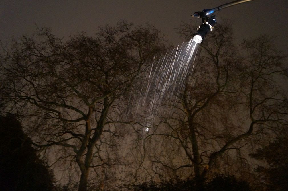 Christmas at Kew