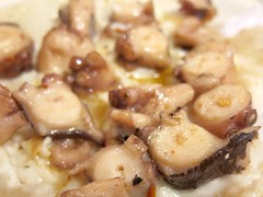 Pulpo