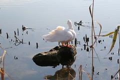 Picture 344