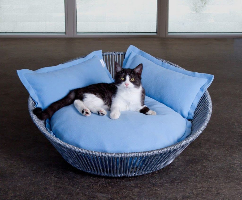 Panier Pour Chat Quel Modele Choisir Jardingue