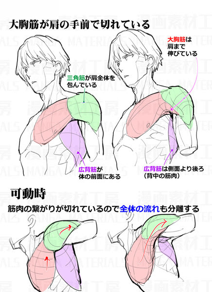 肩の描き方 肩可動の違和感と修正法 Pixiv年鑑 B