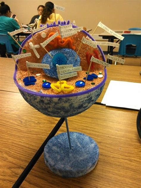 Want to lose some fat and build some muscle? 3D model of Human Cell | Cells project, Cell model, Animal