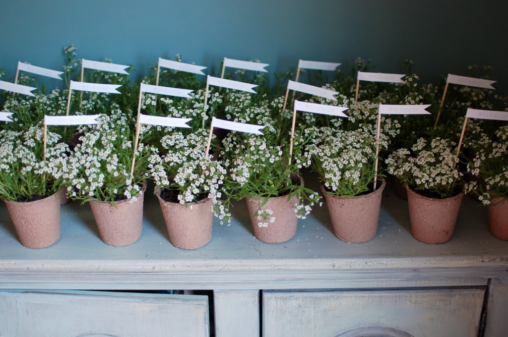 Potted Flower Favors And Flags Seakettle