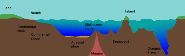 Copy Of Ocean Floor Sol 5.6 - Lessons - Blendspace