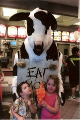 Chik-fil-a cow