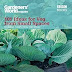 Free Reading Gardeners' World: 101 Ideas for Veg from Small Spaces B00BFTT74U/ PDF