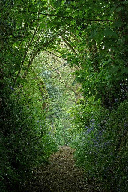 Path