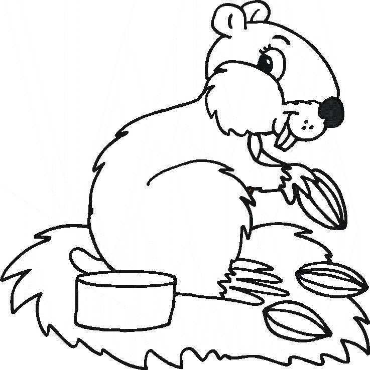 Coloring Pages Animals Dr Odd HD Wallpapers Download Free Images Wallpaper [wallpaper896.blogspot.com]