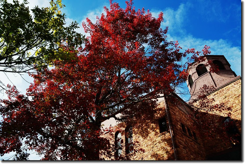 Maple in Fall, Mapleton Hill, Boulder (4)