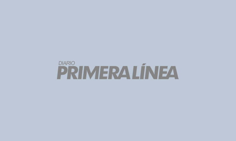 Dady Brieva fue acusado de pedófilo por sus dichos en ...