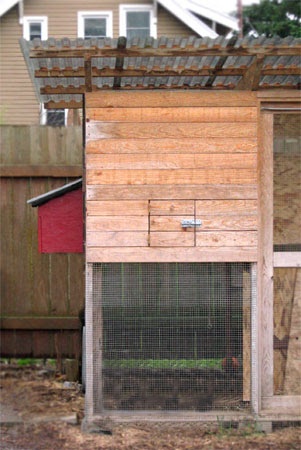 How to Build External Nest Boxes For your Chicken Coop | TBN Ranch