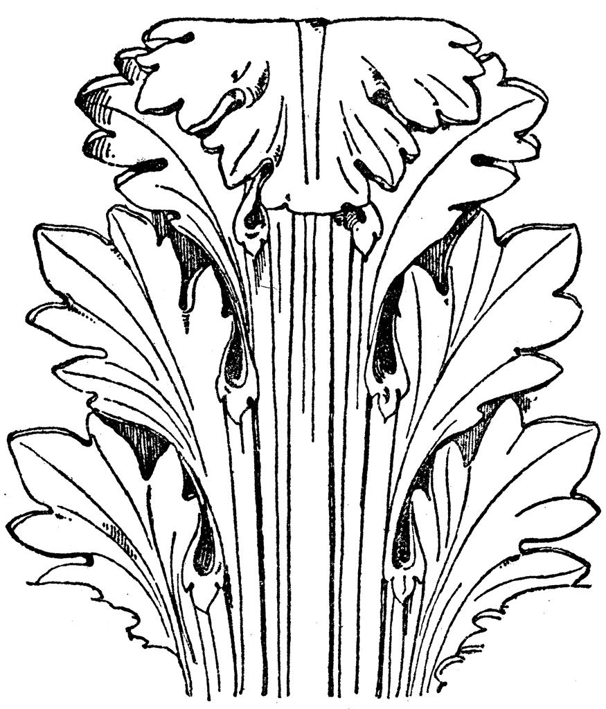 Roman Capital Leaf  ClipArt ETC