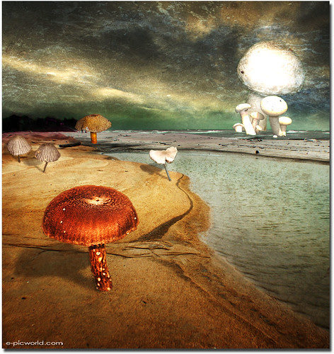 Beach of giant mushrooms textured photos composite image