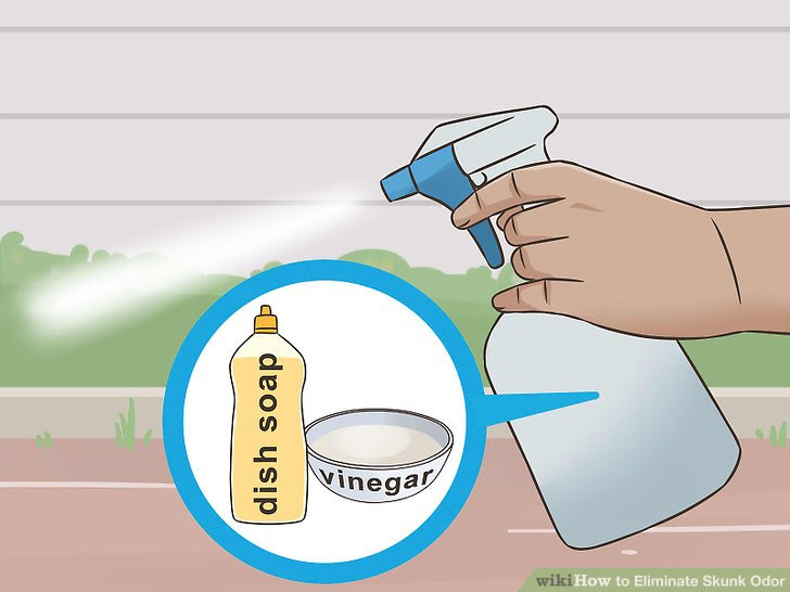 Eliminate Skunk Odor Step 18.jpg