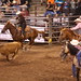 Calf Roping at the Cedar Park Rodeo
