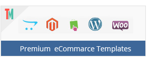 Premium eCommerce Templates