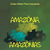 PDF Amazônia, Amazônias