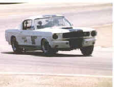 cobra-car-race