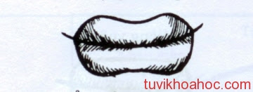 tướng đàn bà cười hở lợi tướng số phụ nữ cười hở lợi tướng số người cười hở lợi tướng số cười hở lợi tướng người cười hở lợi cười hở lợi webtretho cười hở lợi tướng số đàn ông cười hở lợi tướng số đàn bà cười hở lợi tướng số phụ nữ cười hở lợi tướng số cười hở lợi tướng cười hở lợi trong tướng số cười hở lợi thì làm sao cười hở lợi thì khổ cười hở lợi số khổ cười hở lợi nhân tướng học cười hở lợi làm đẹp cười hở lợi là khổ con trai cười hở lợi tướng số chữa cười hở lợi webtretho 