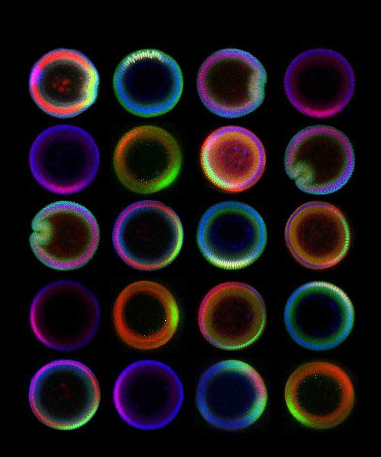 84 Art Gallery of Science 2011