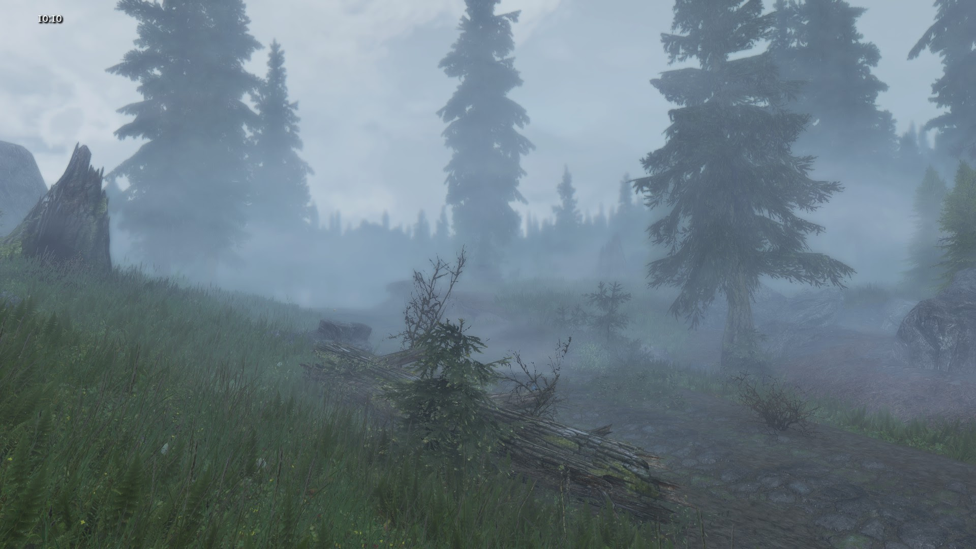 This Must Be The Best Weather To Travel Through The Forests Of Skyrim Skyrim