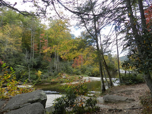 naturenotesDSCN3367