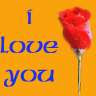 amour
