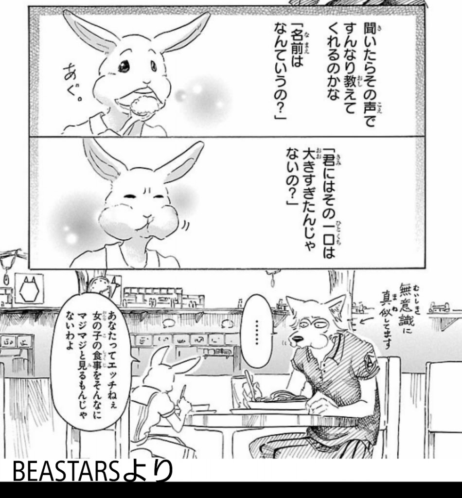 本のくまこ このブログ誰が読んでるの