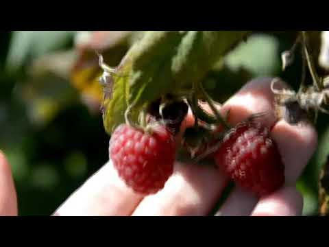 РОБОТА В УКРАЇНІ