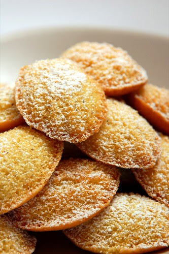 Wattle Seed Madeleines© by haalo