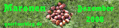 GKE_Dezember08_400x96