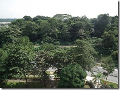 destruction of Bedok Reservoir Hill-2