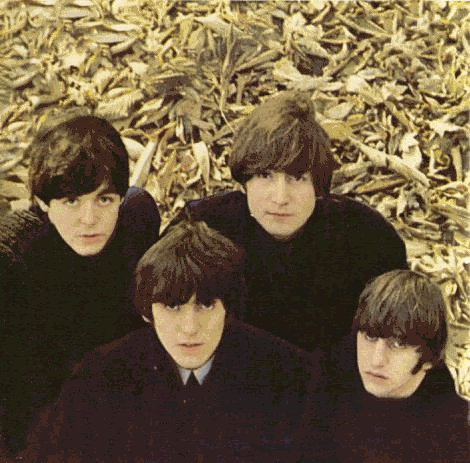Beatleideas for a new tattoo ive ever seen At our beatle entire population 