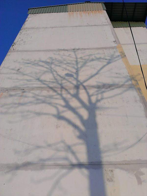 fake branch