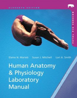 Human Anatomy And Physiology Laboratory Manual
