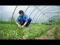 Download [pdf] On The Science Of Agriculture Pdf Ebook