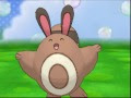 √画像をダウンロード オ��チ かわいい 203313-ポケモ�� オタチ かわいい