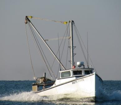 Chesapeake Bay Work Boats