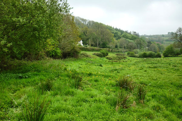 The site of coach 6993 at Snapper today The site of coach 6993 at Snapper today