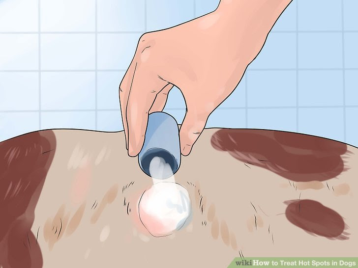 Treat Hot Spots in Dogs Step 7.jpg