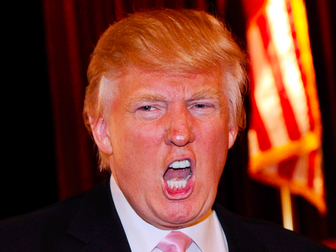 Image result for Donald Trump  hair