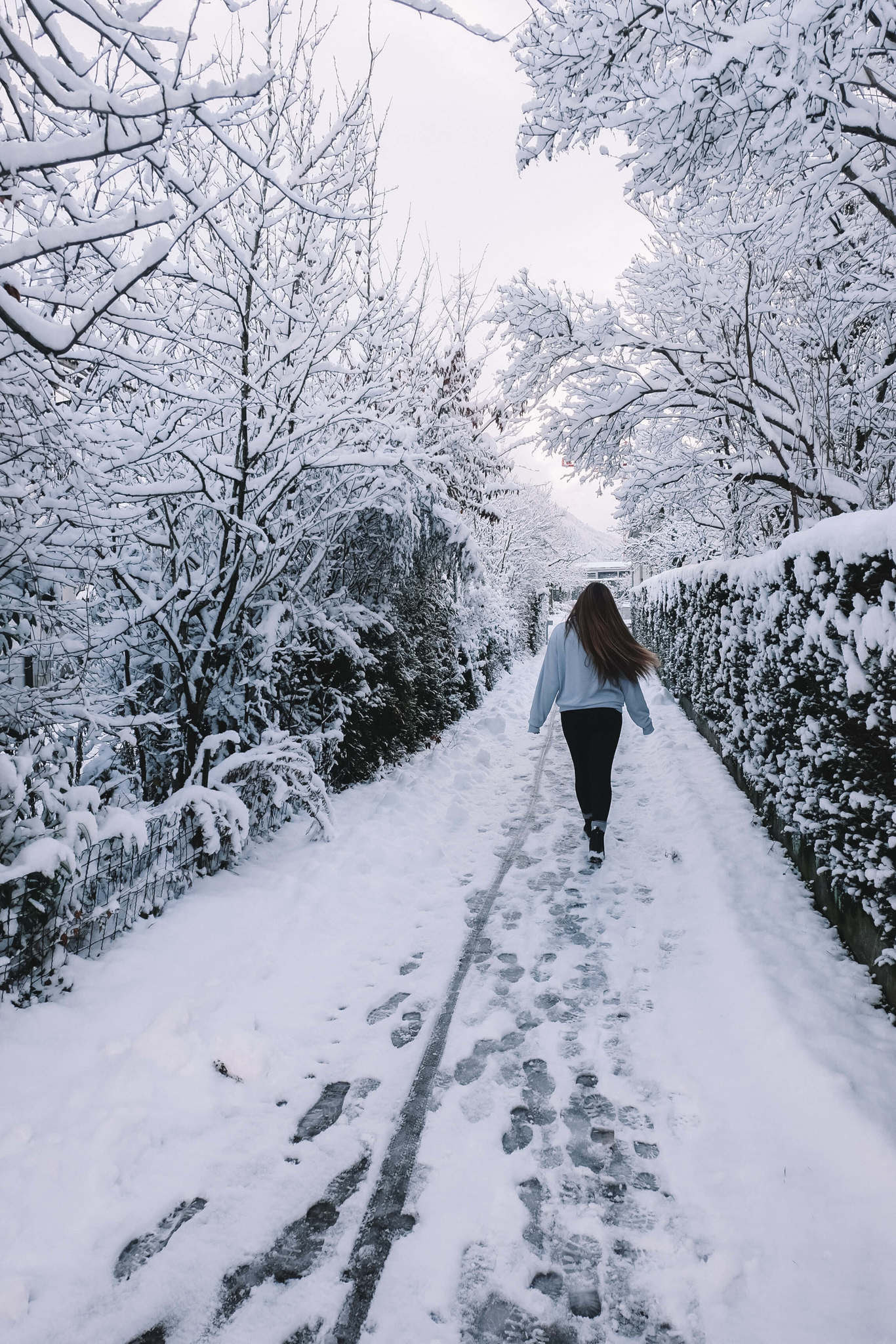 snow shoeing in Interlaken