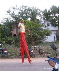 A tall man in Chennai Sangamam
