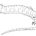 Cartoon Lizard Coloring Pages / Maybe you would like to learn more about one of these?