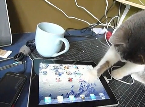 iPadのタッチスクリーン、猫の肉球にも対応 : ガベージニュース