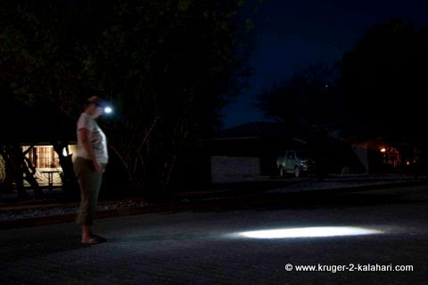 torches of liberty. We now use the Liberty 115