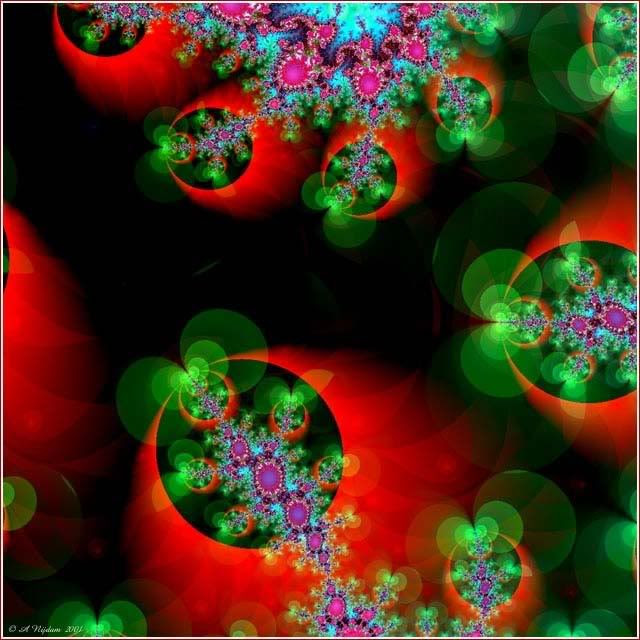 fractal, flower