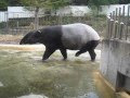 多摩 動物 公園 デート 192466-多摩動物公園 デートプラン